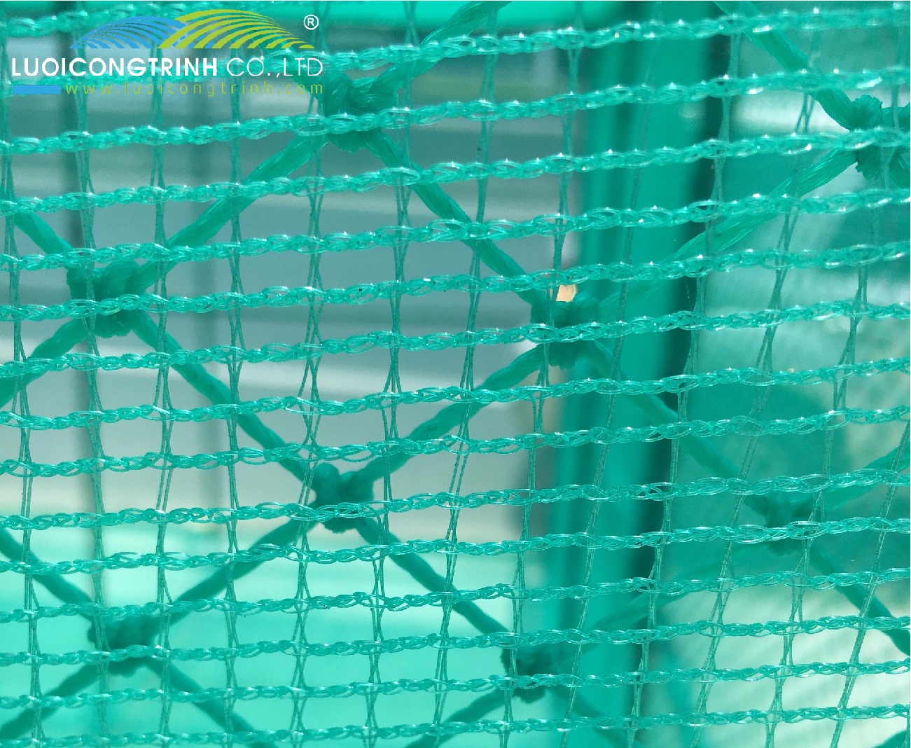 Lưới cước ô vuông nuôi ếch